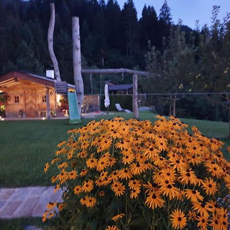 Griesbachhof-Wilder Kaiser オーベルンドルフ・イン・チロル エクステリア 写真