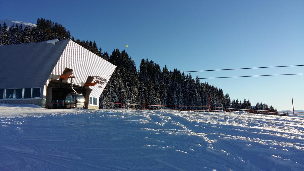 Griesbachhof-Wilder Kaiser オーベルンドルフ・イン・チロル エクステリア 写真