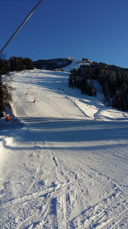 Griesbachhof-Wilder Kaiser オーベルンドルフ・イン・チロル エクステリア 写真